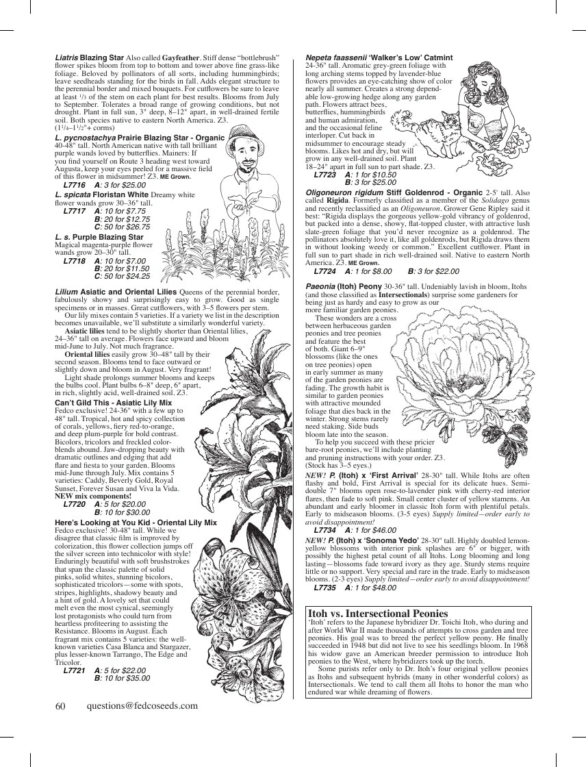 Fedco Seeds flyer page 60