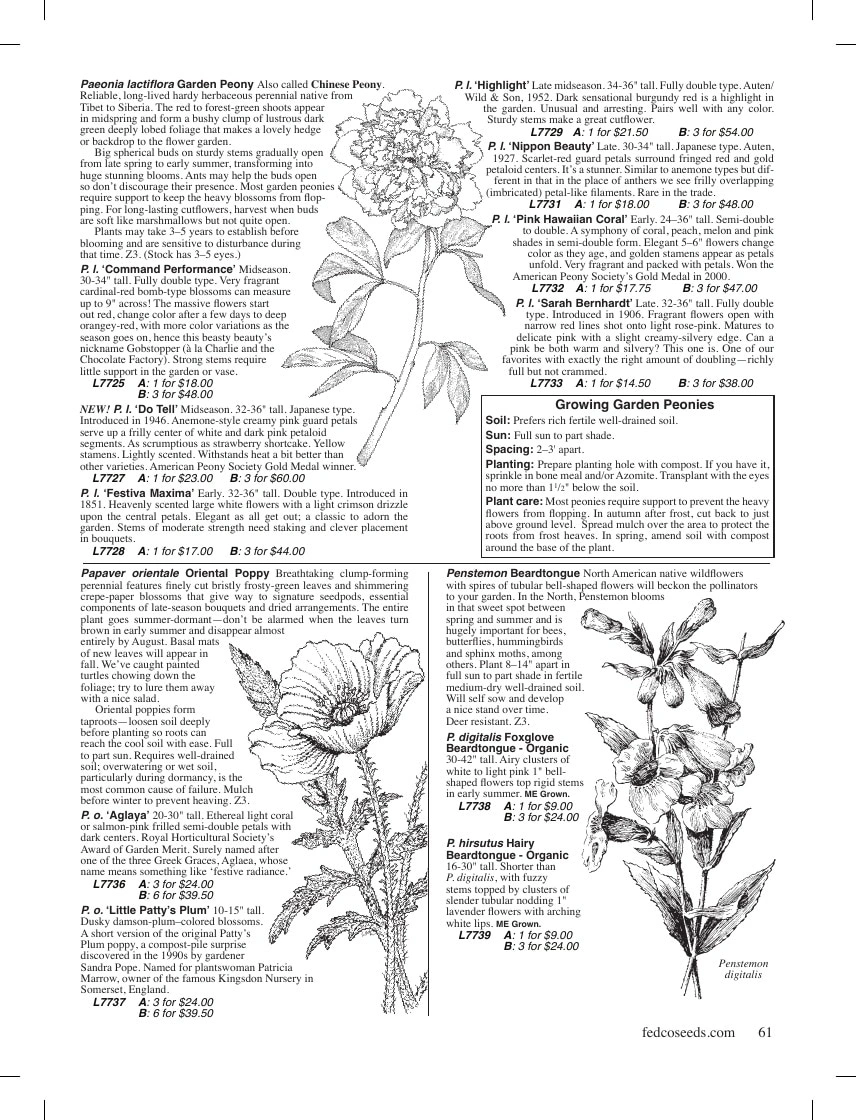 Fedco Seeds flyer page 61