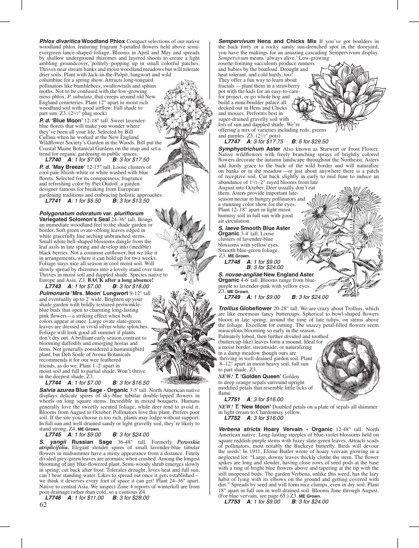 Fedco Seeds flyer page 62