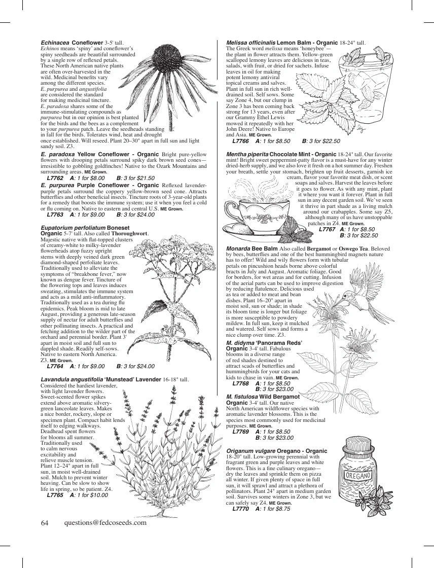 Fedco Seeds flyer page 64