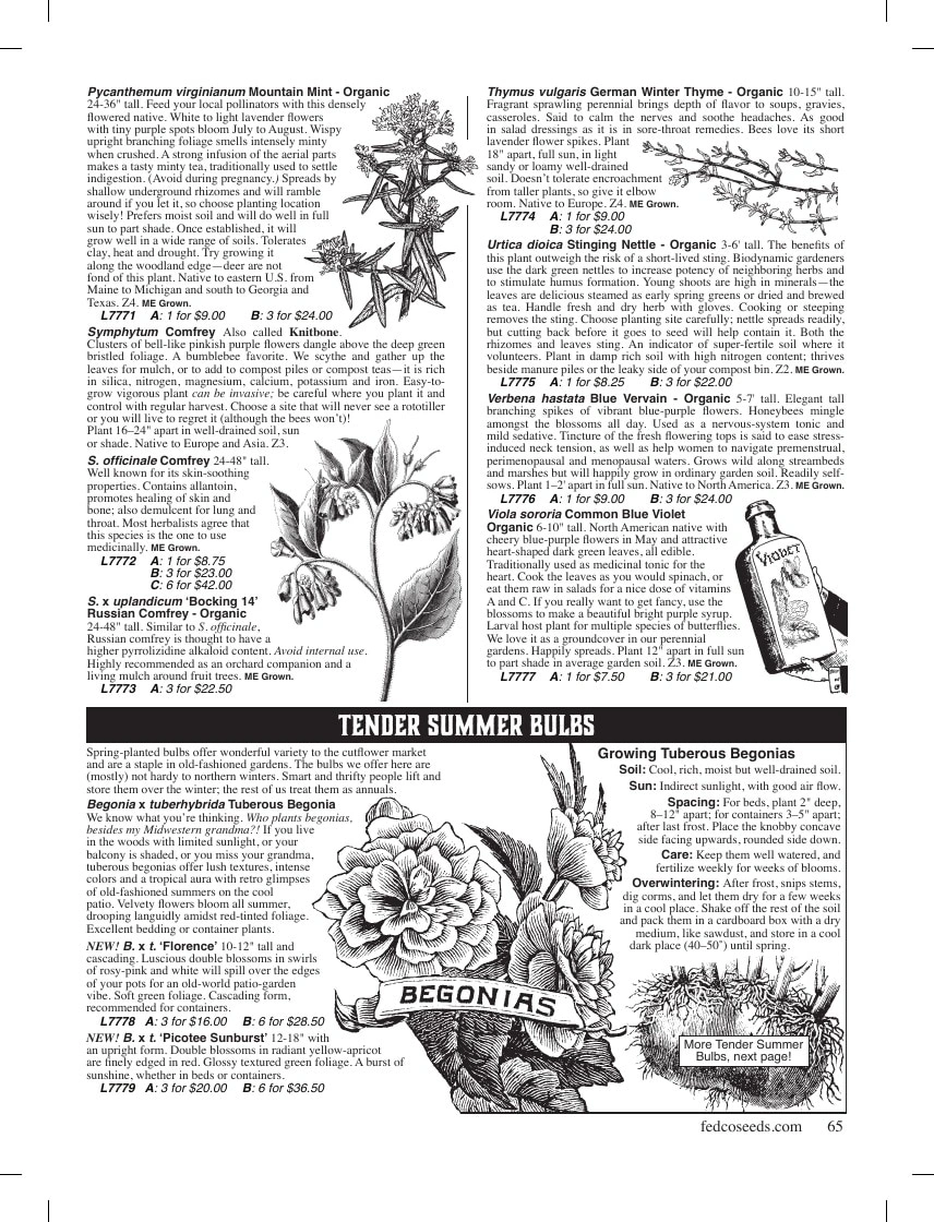 Fedco Seeds flyer page 65