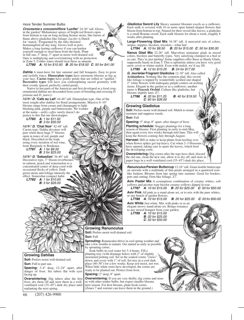 Fedco Seeds flyer page 66