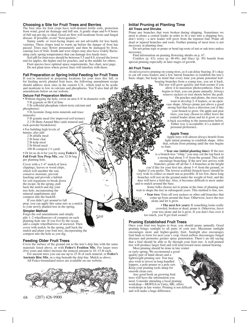 Fedco Seeds flyer page 68
