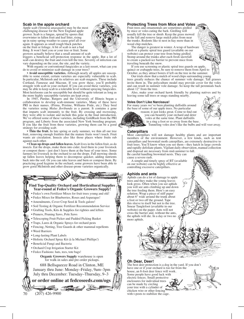 Fedco Seeds flyer page 70