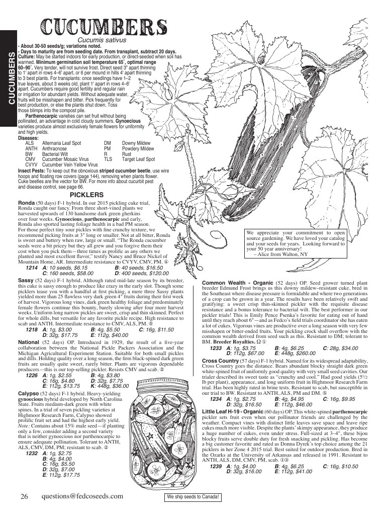 Fedco Seeds flyer page 26