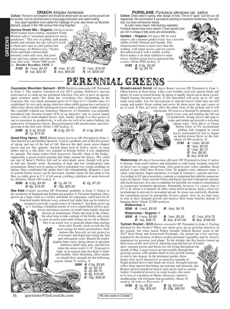 Fedco Seeds flyer page 36