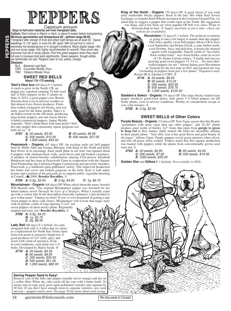 Fedco Seeds flyer page 58
