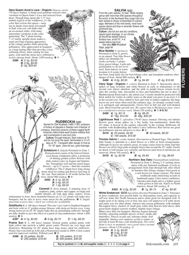 Fedco Seeds flyer page 107