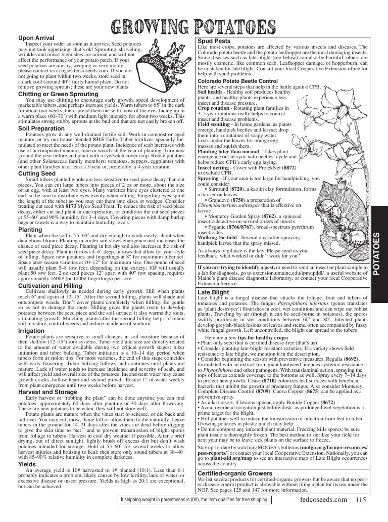 Fedco Seeds flyer page 115