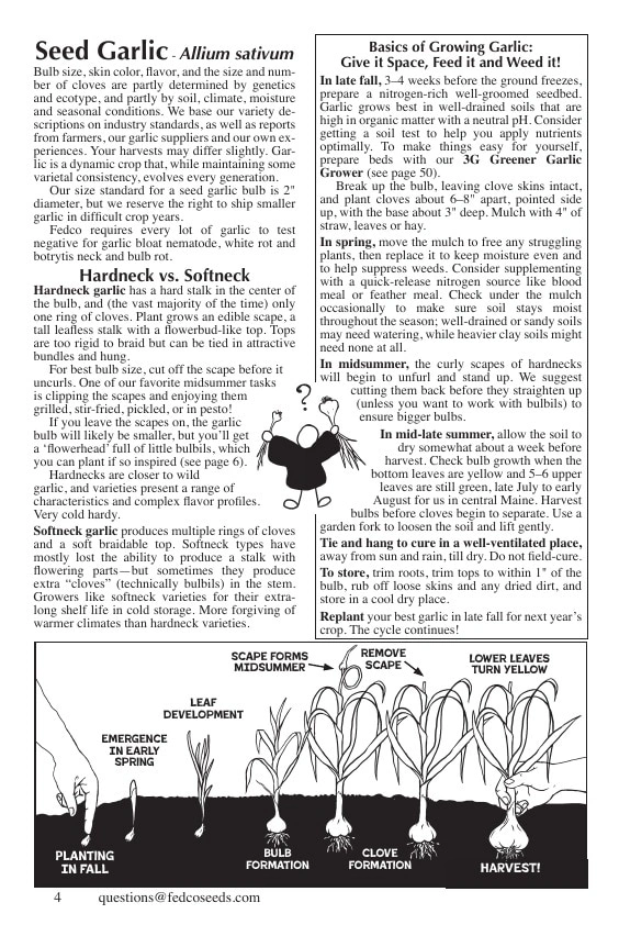 Fedco Seeds flyer page 4