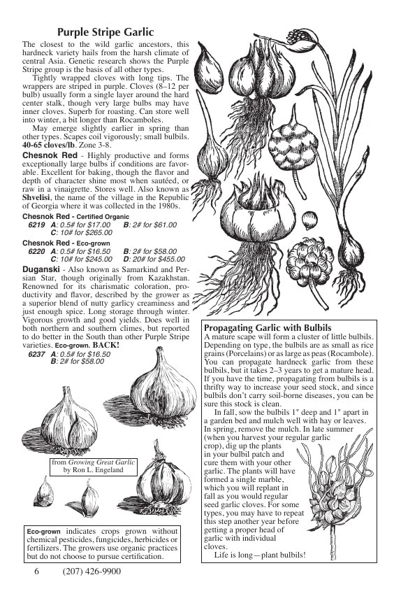 Fedco Seeds flyer page 6