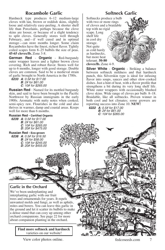 Fedco Seeds flyer page 7