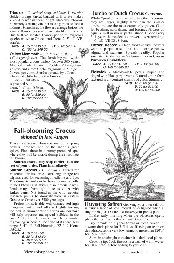 Fedco Seeds flyer page 13
