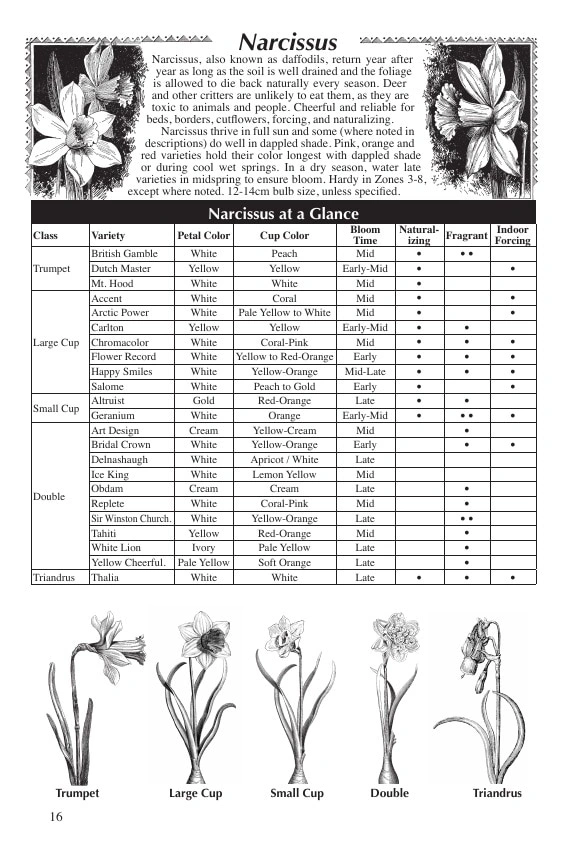 Fedco Seeds flyer page 16