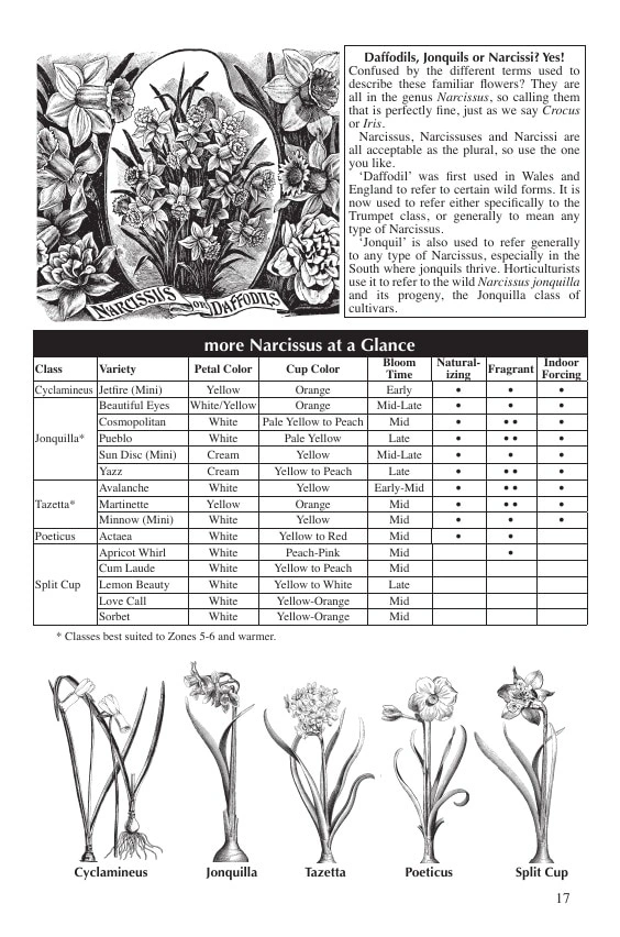 Fedco Seeds flyer page 17