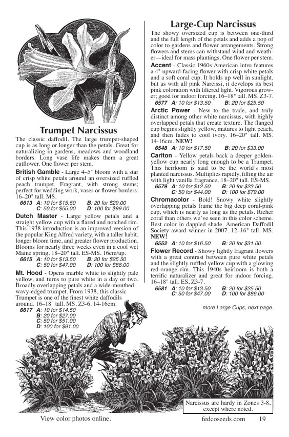 Fedco Seeds flyer page 19