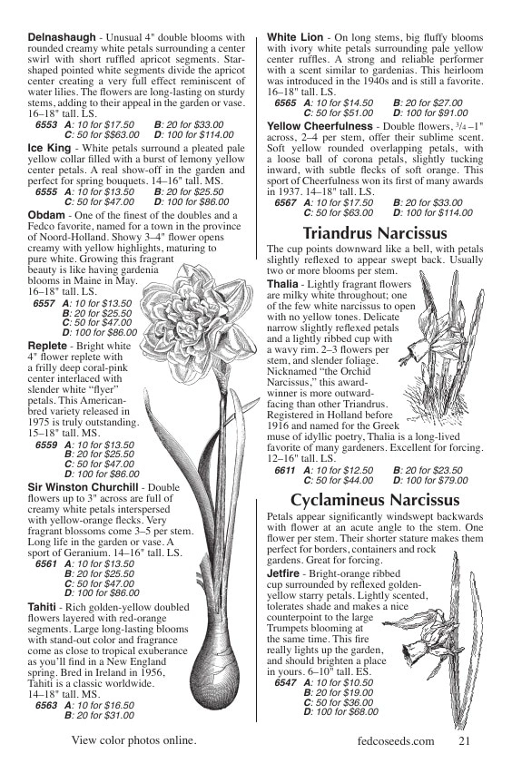 Fedco Seeds flyer page 21