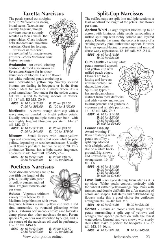 Fedco Seeds flyer page 23