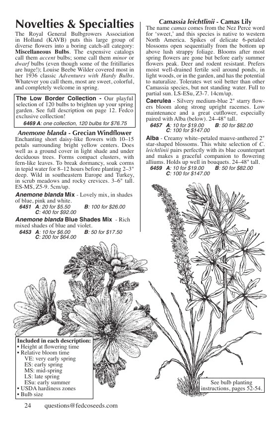 Fedco Seeds flyer page 24