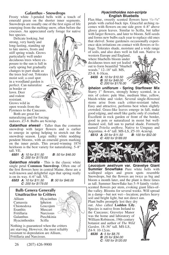 Fedco Seeds flyer page 26