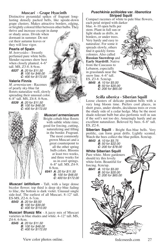 Fedco Seeds flyer page 27