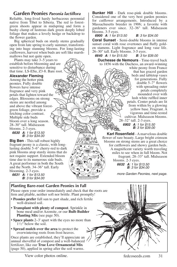Fedco Seeds flyer page 31