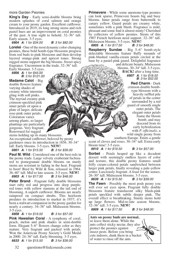 Fedco Seeds flyer page 32