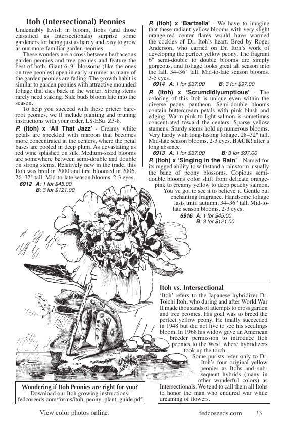 Fedco Seeds flyer page 33