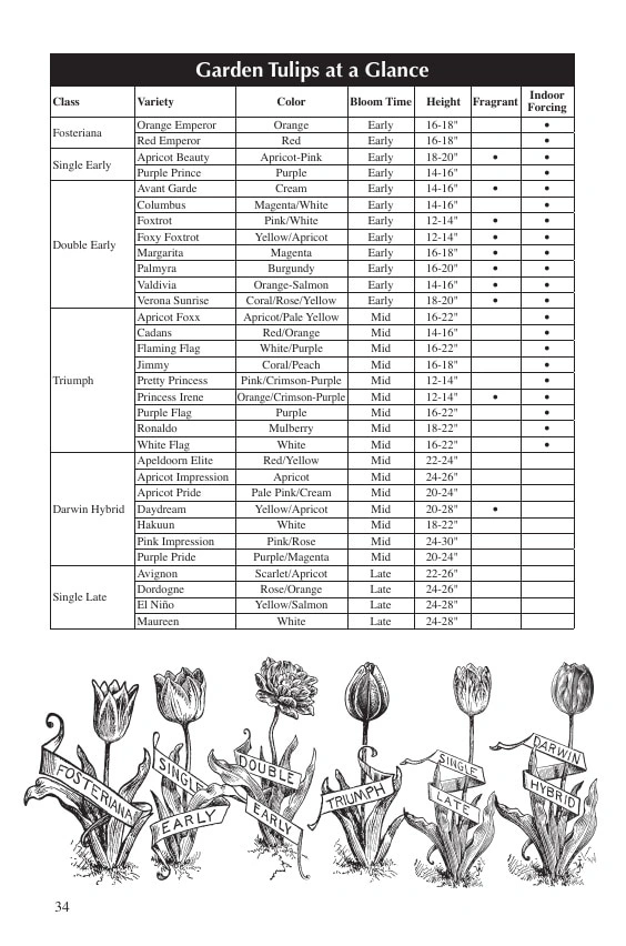Fedco Seeds flyer page 34