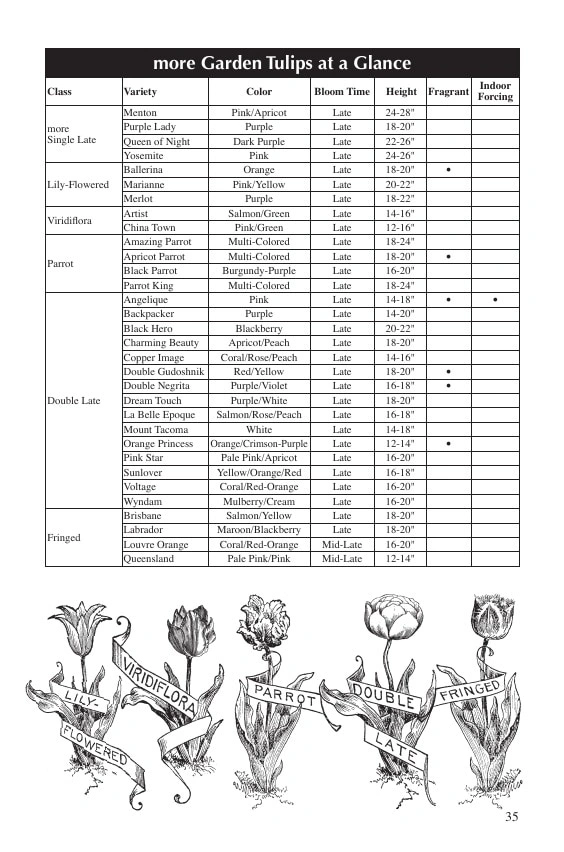 Fedco Seeds flyer page 35