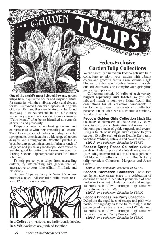 Fedco Seeds flyer page 36