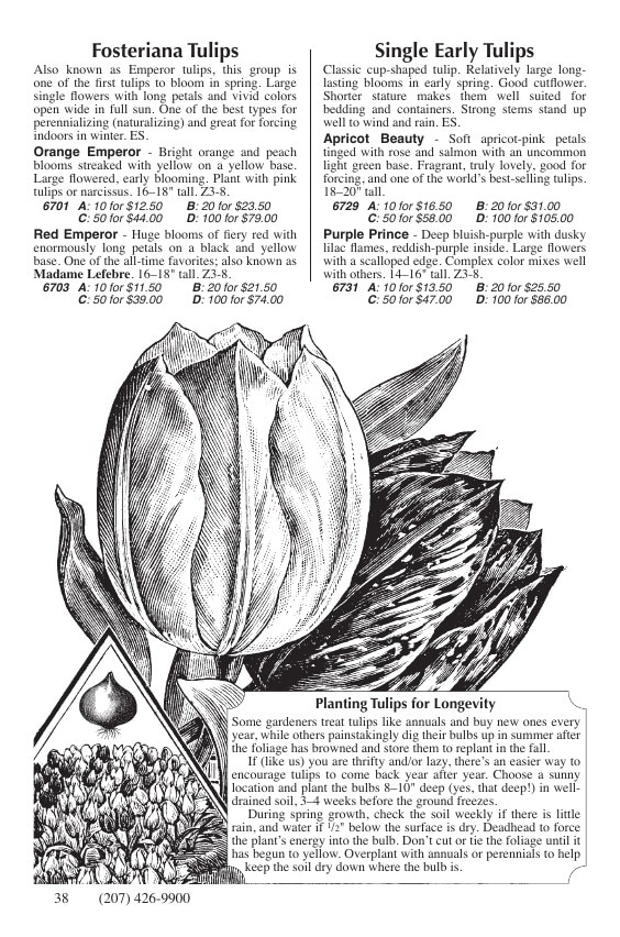Fedco Seeds flyer page 38