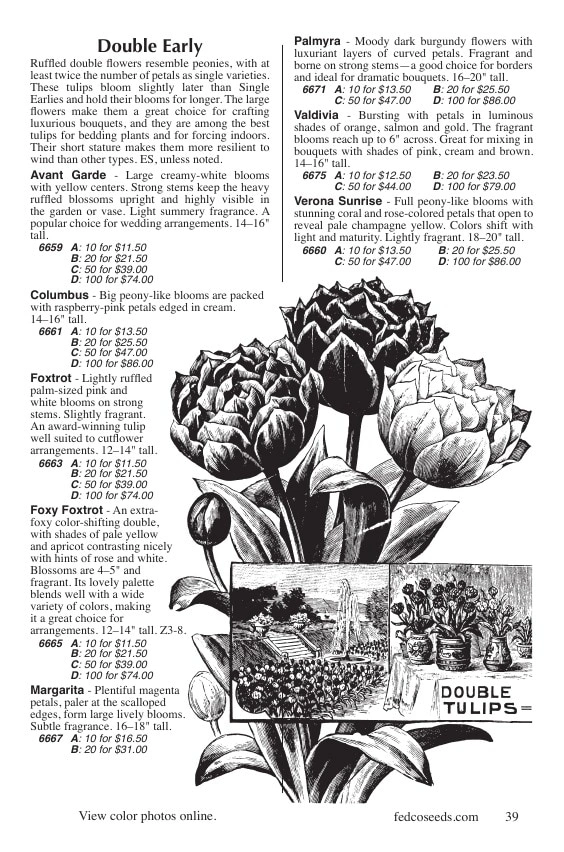 Fedco Seeds flyer page 39