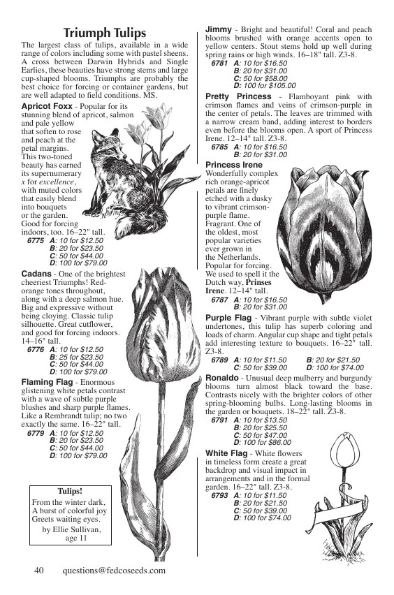 Fedco Seeds flyer page 40