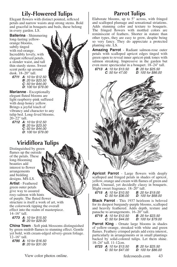 Fedco Seeds flyer page 43