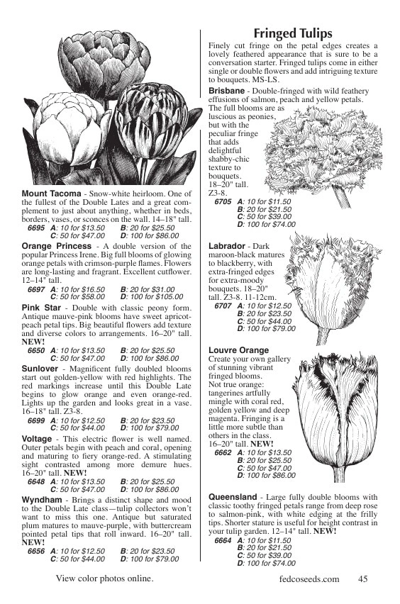 Fedco Seeds flyer page 45
