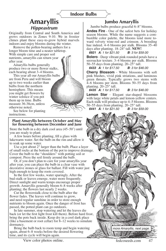 Fedco Seeds flyer page 47