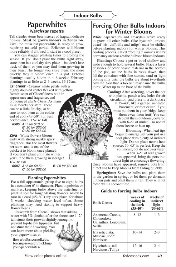 Fedco Seeds flyer page 49