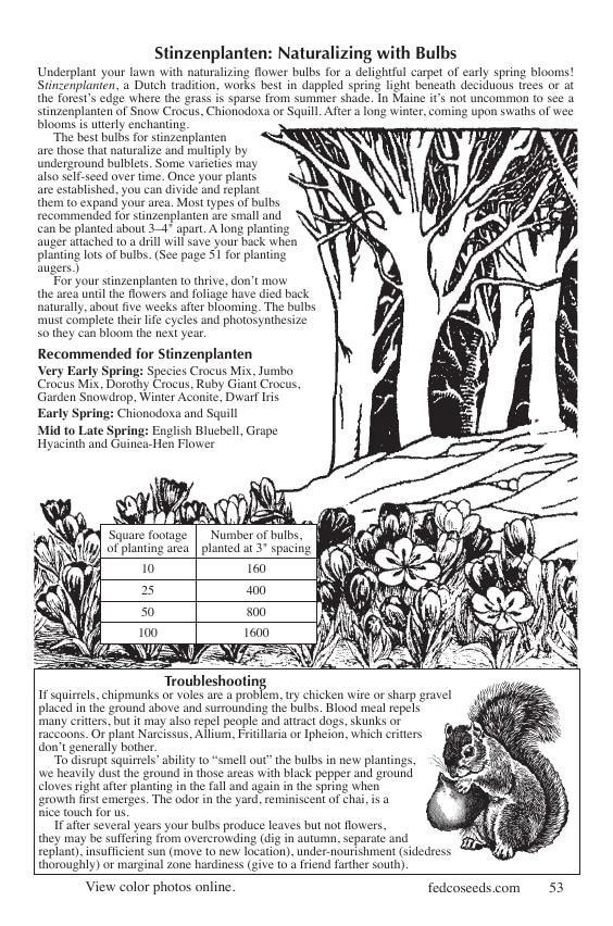 Fedco Seeds flyer page 53
