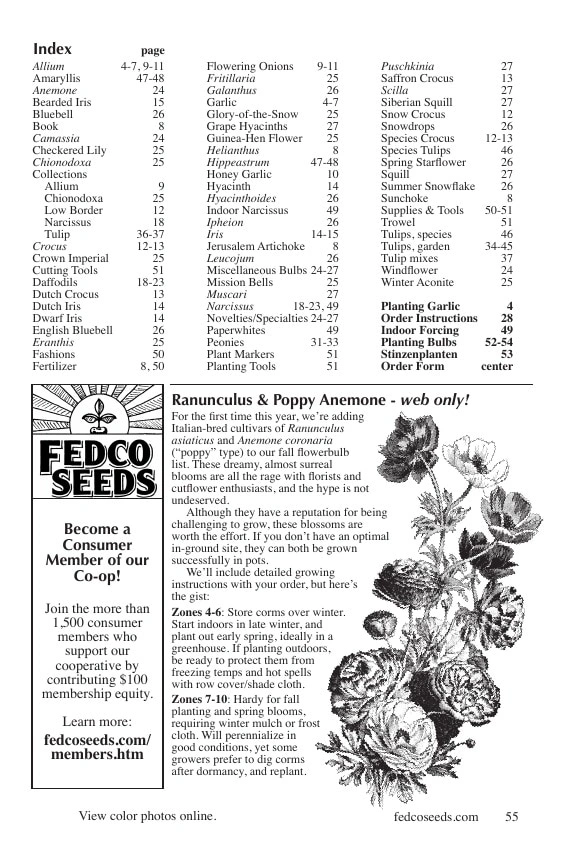 Fedco Seeds flyer page 55