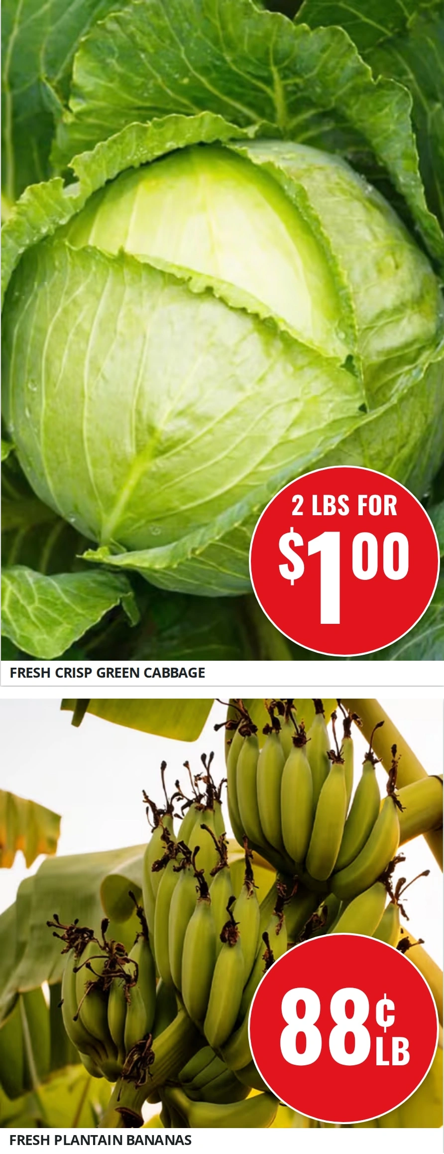 Foodland Markets flyer page 11