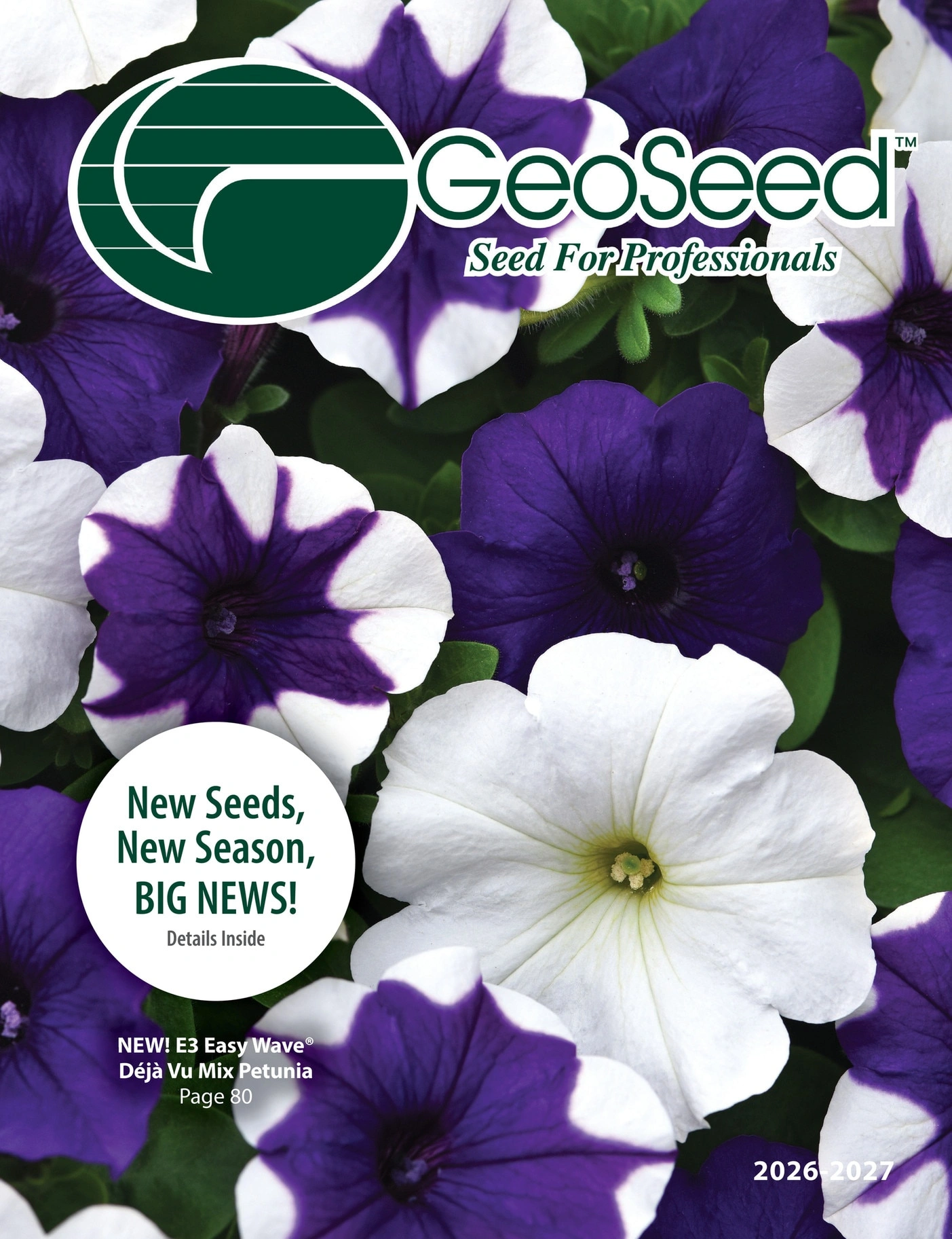 GeoSeed flyer page 1