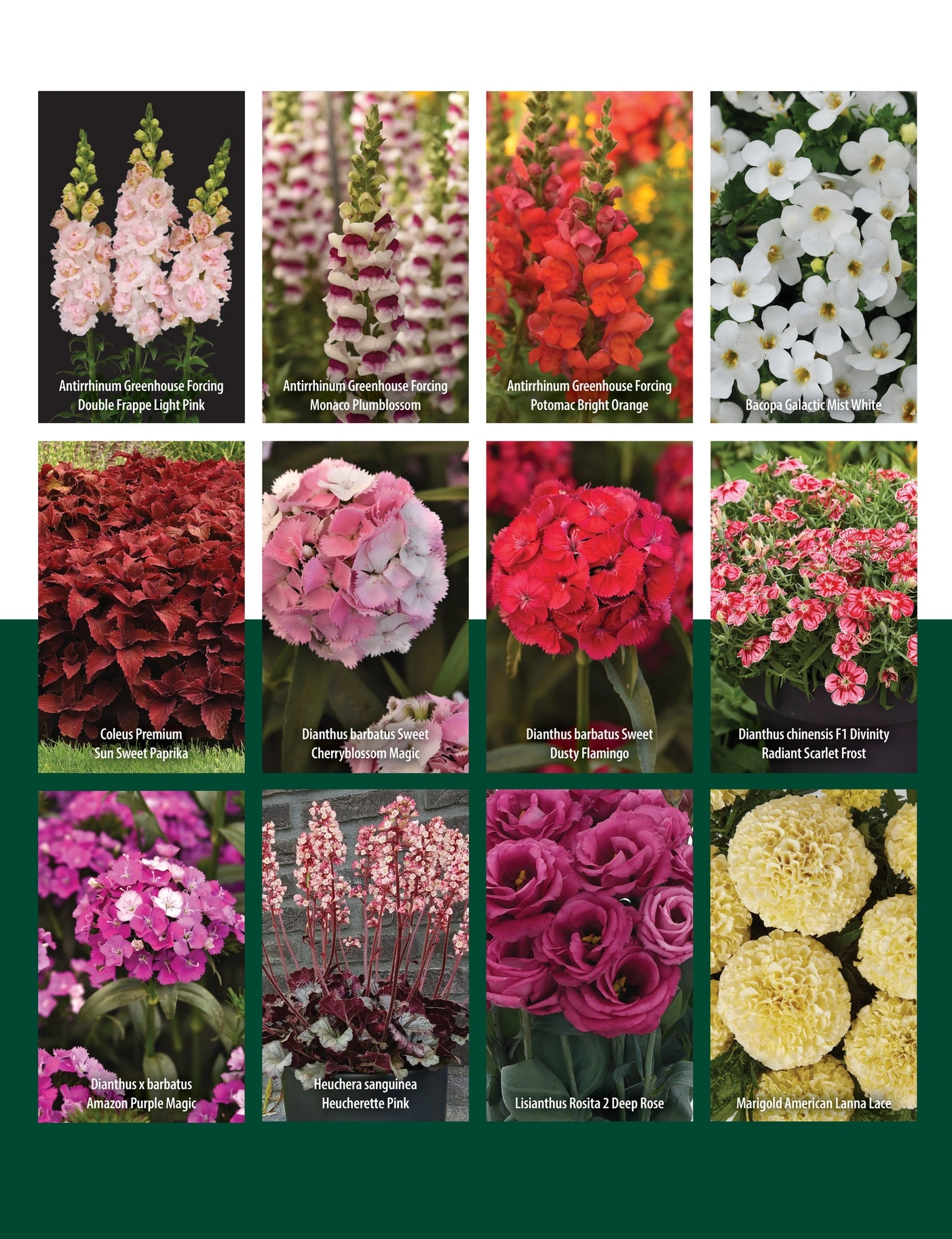 GeoSeed flyer page 109