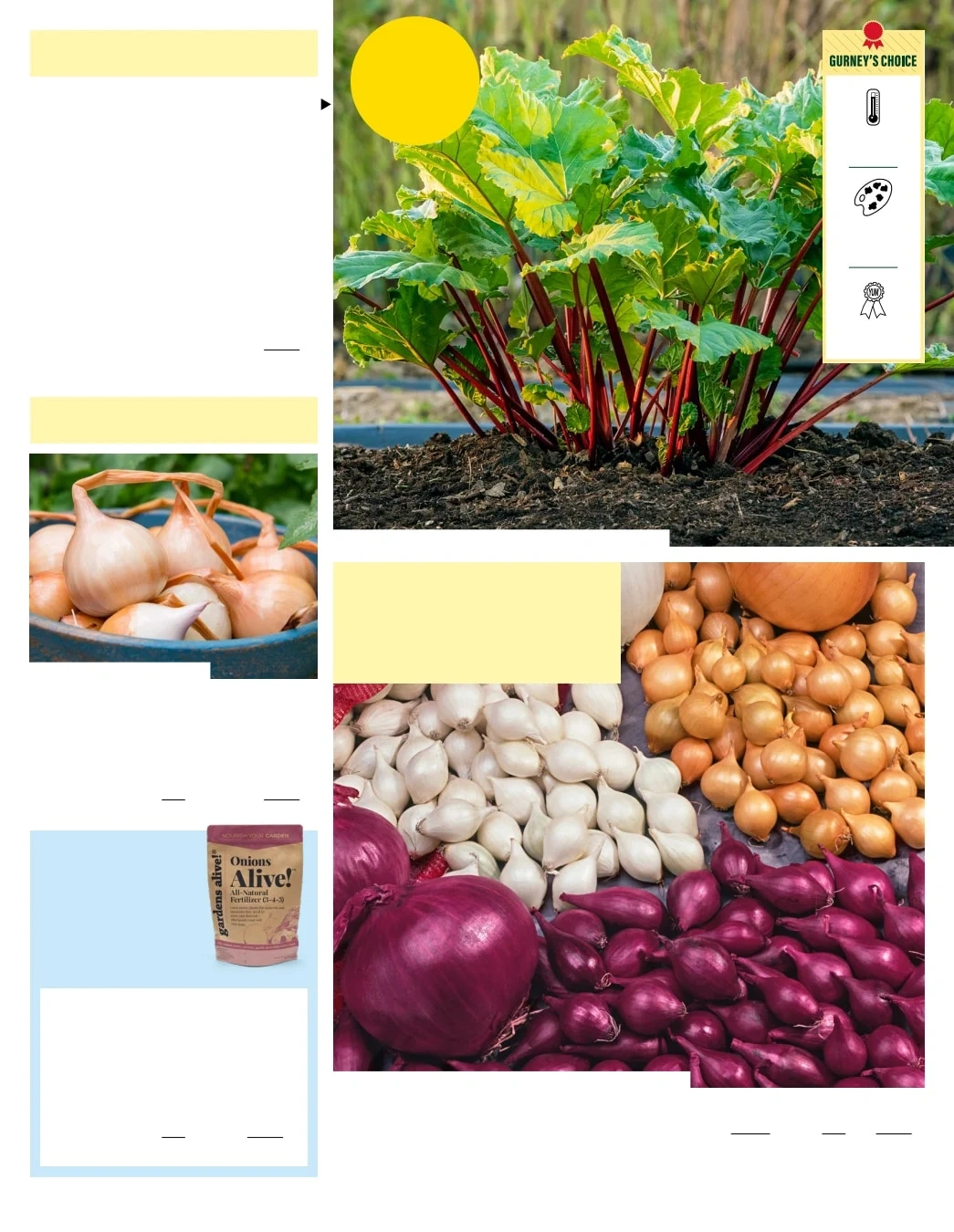 Gurney's Seed & Nursery Co. flyer page 5