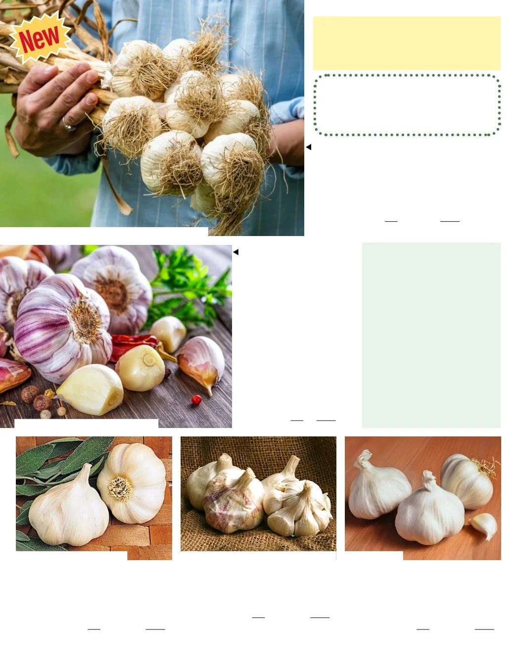 Gurney's Seed & Nursery Co. flyer page 6