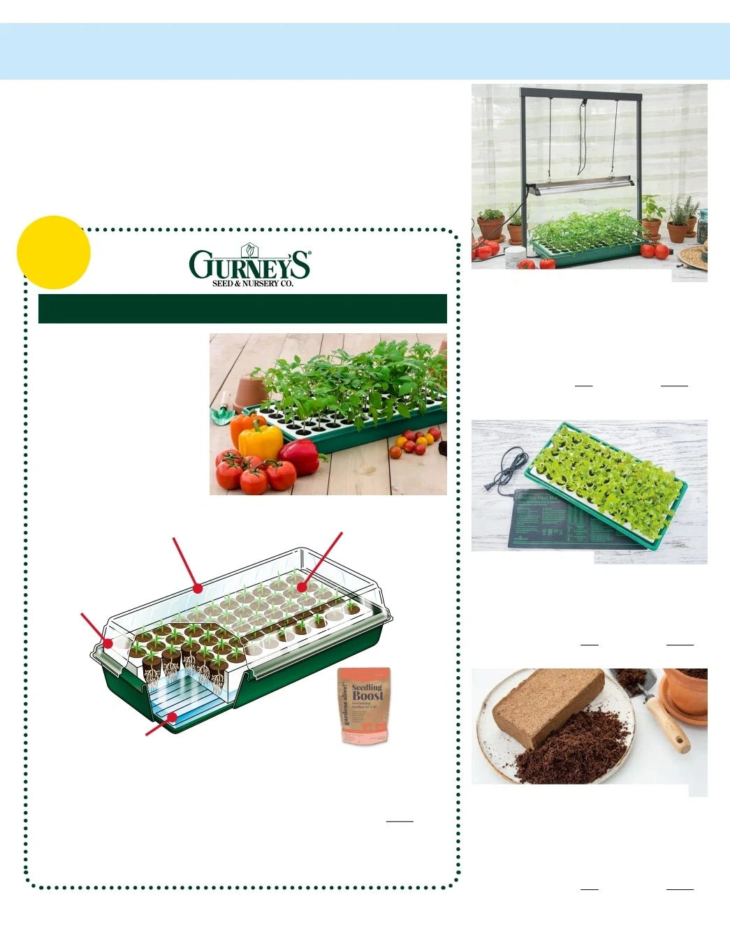 Gurney's Seed & Nursery Co. flyer page 10
