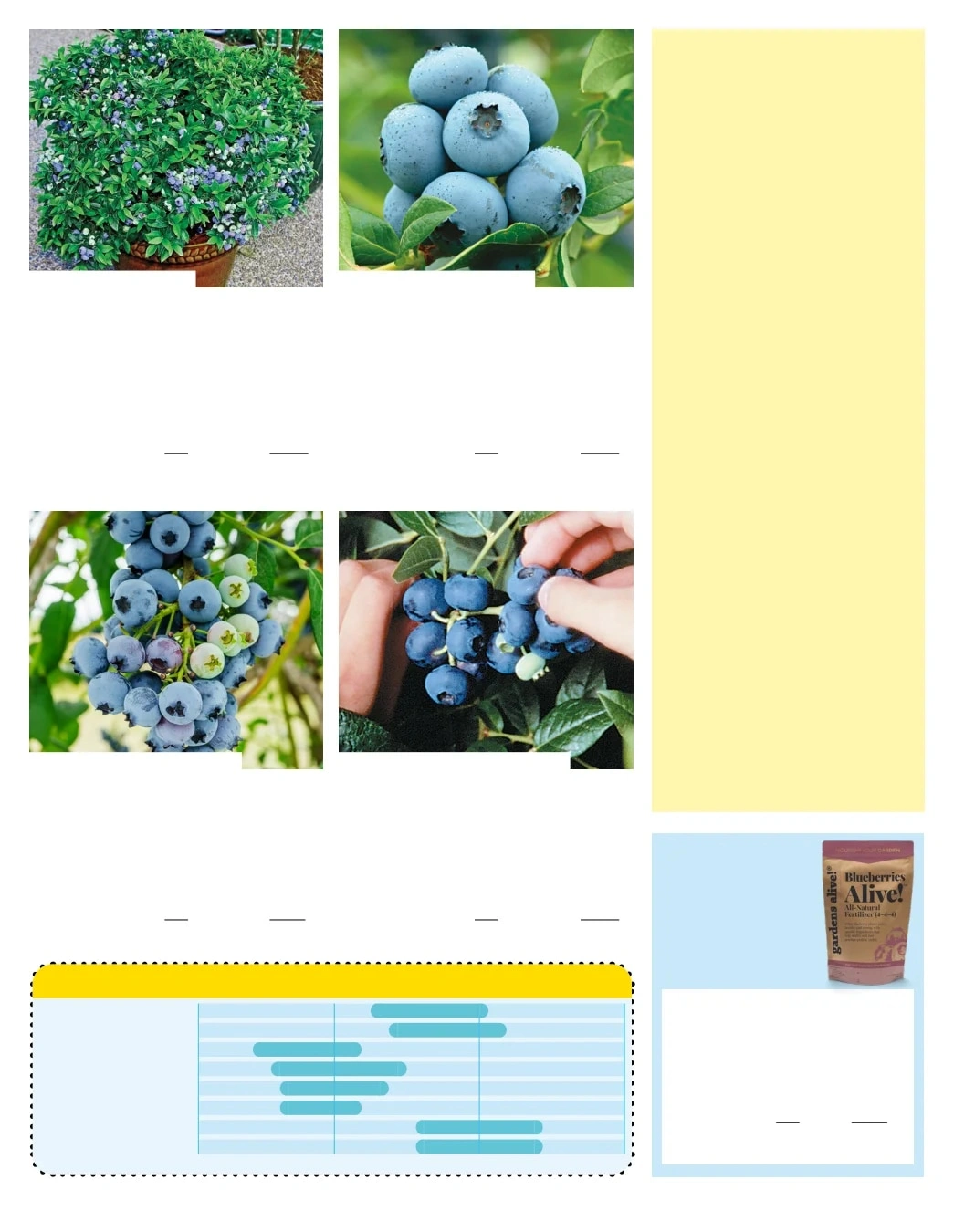Gurney's Seed & Nursery Co. flyer page 32