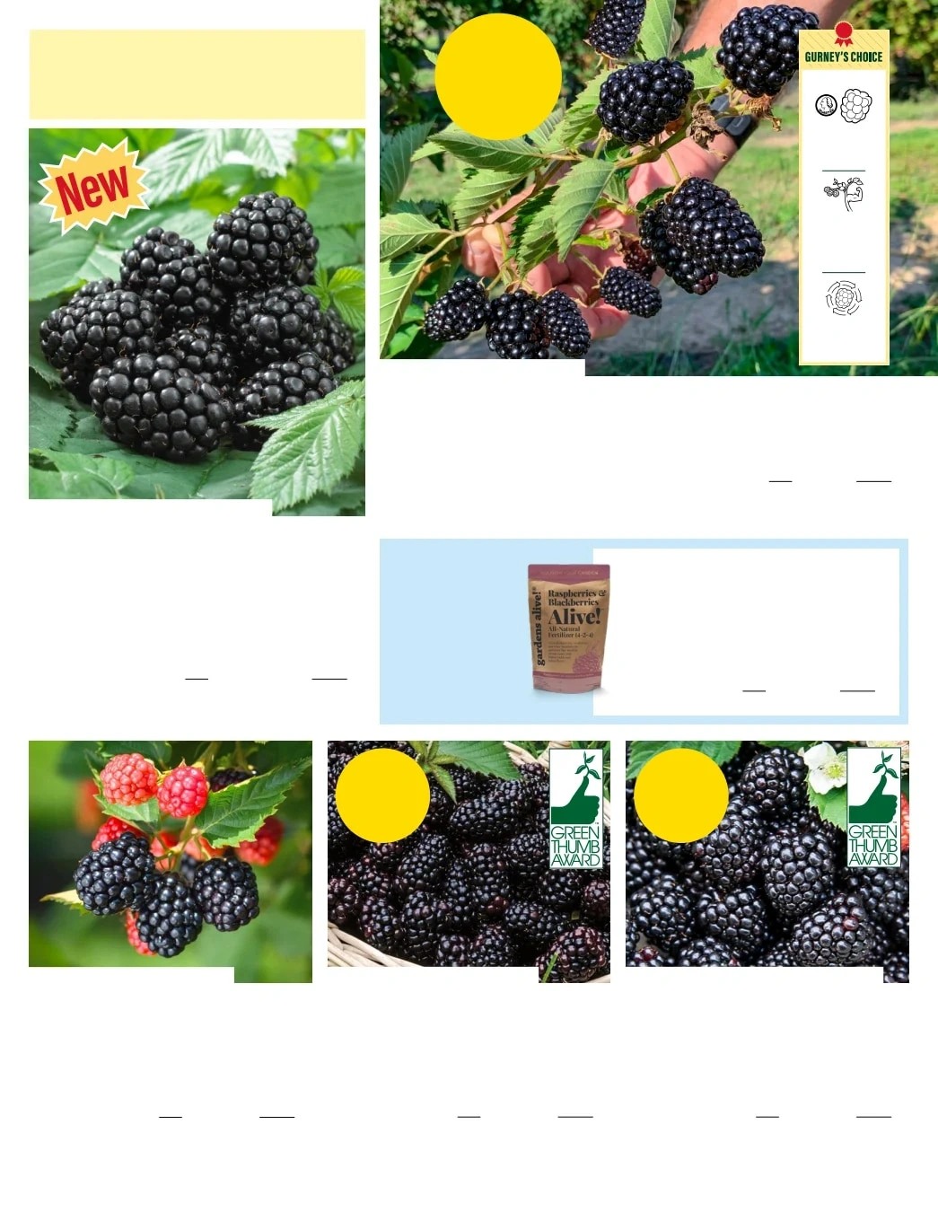 Gurney's Seed & Nursery Co. flyer page 35