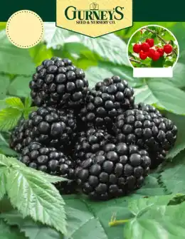 Gurney's Seed & Nursery Co. Fall Catalog Weekly Ad