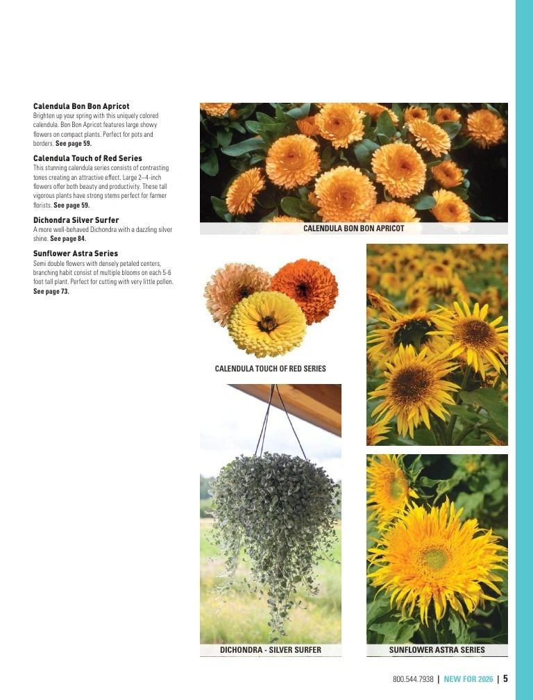 Harris Seeds flyer page 5